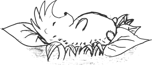 ilustracja reprezentująca etap życiorysu